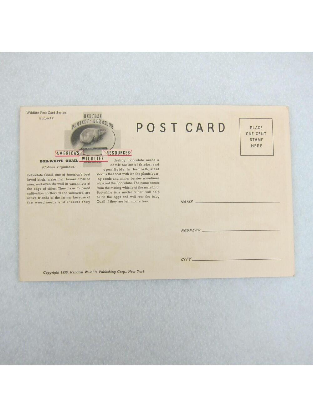 Vintage 1939 National Wildlife Bird Postcards Lot 3 Ruffed Grouse Woodcock Quail - Picture 8 of 12